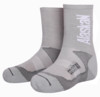 Изображение Носки Alaskan Summer Socks серый M