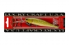 Воблер Pointer 100 DD 802 northern pike