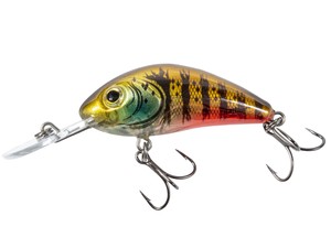Фото Воблер Salmo HORNET RATTLIN F 04.5/CHB