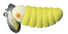 Изображение Кроулер Catapy Clicker 68мм. 15,2гр. №СВ06