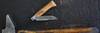 Изображение Нож Opinel №7, углеродистая сталь, бук, 113070