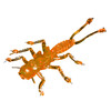 Изображение Резина Microkiller веснянка 35мм, оранжевый флюо, 8шт в уп. 10109