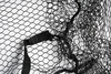 Изображение Подсачек складной Narval Fishing Landing Net I 80x70x2cm #Black & Oran