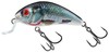 Изображение Воблер Salmo HORNET RATTLIN F 04.5(SR)/HRD