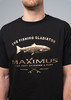 Изображение Футболка Maximus чёрная 2XL (MCTSBXXL)