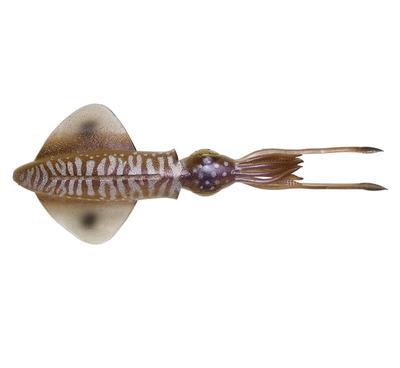 Фотография Приманка SG 3D Swim Squid 9.5cm 5g 4pcs Cuttlefish