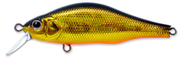 Фотография Воблер Zipbaits Khamsin 105SP SR #050