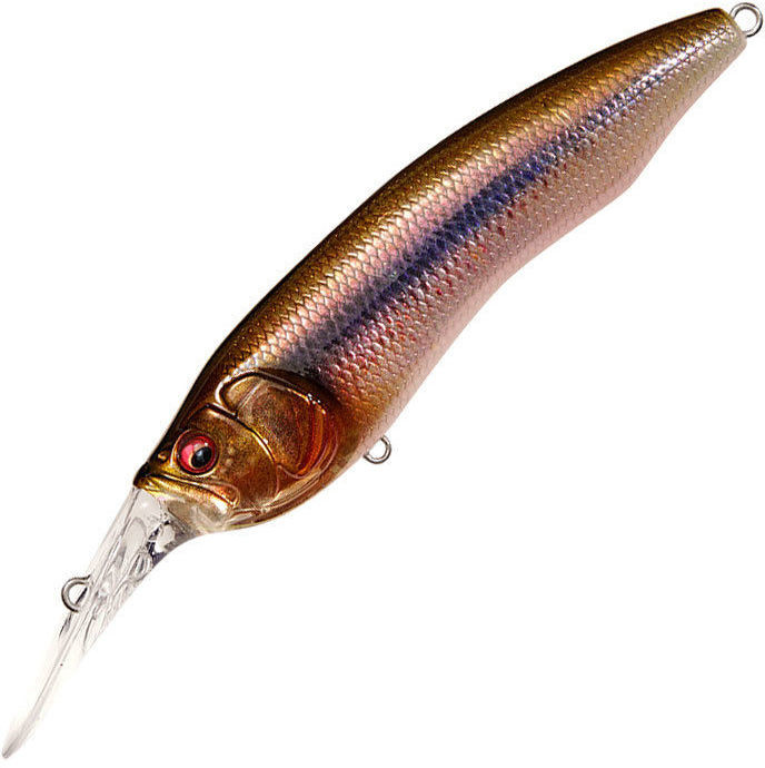 Фотография Воблер Megabass Live-X Model 1 fa kawamutsu