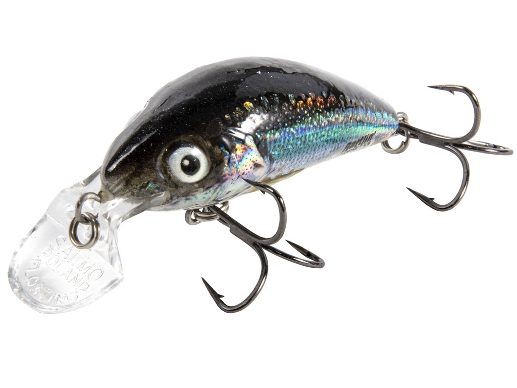 Фотография Воблер Salmo HORNET RATTLIN F 04.5(SR)/COS