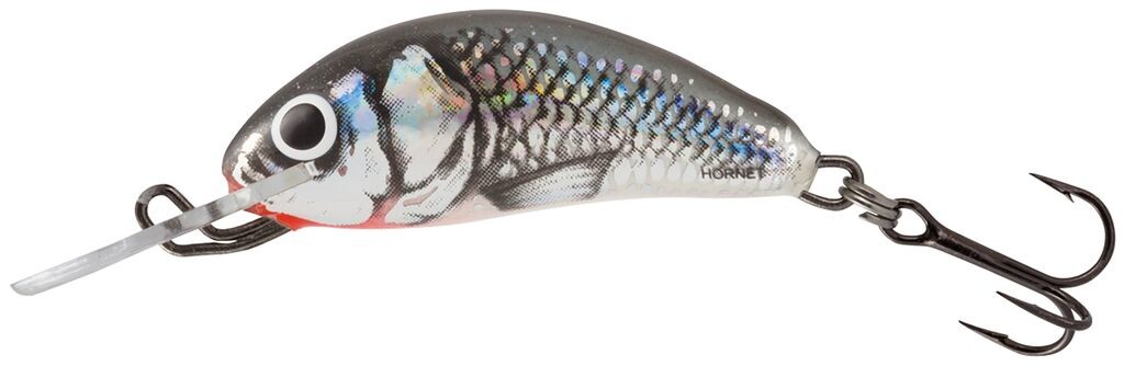 Фотография Воблер Salmo HORNET S 03.0/HGS
