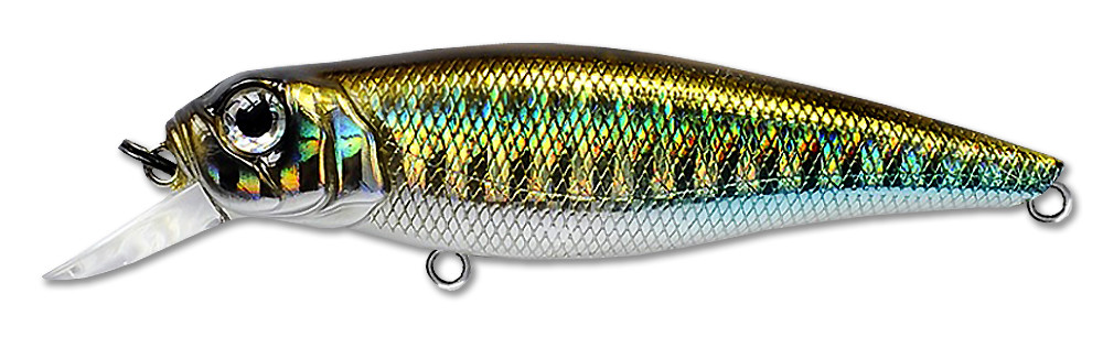 Фотография Воблер Fishycat Tomcat 67SP-SR / R09