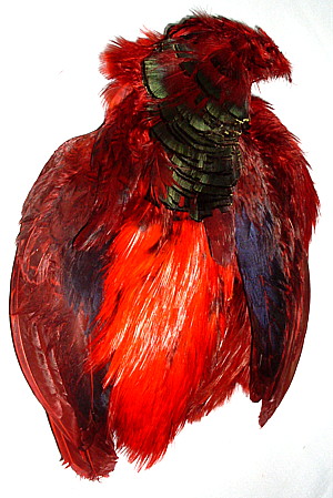 Фотография Тело зол. фазана GOLDEN PHEASANT BODY SKIN - Red