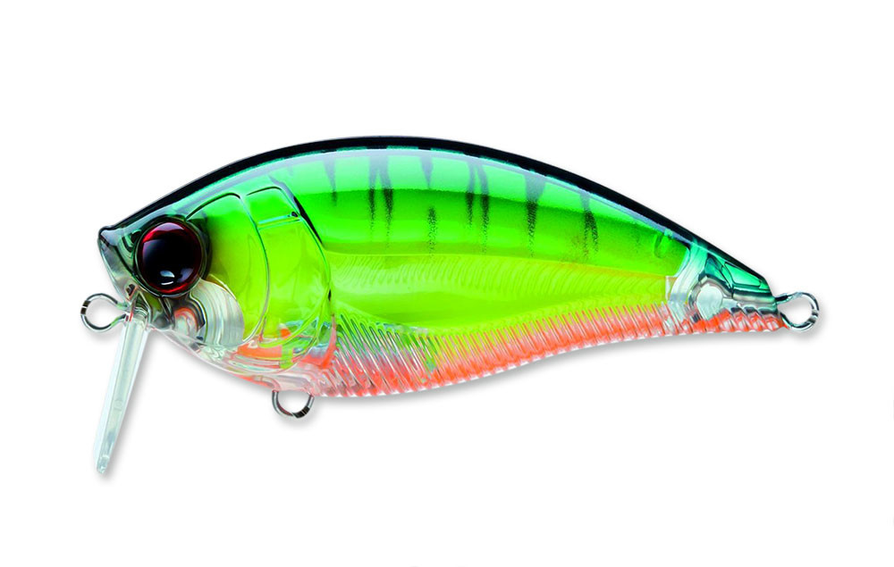 Wake bait discount