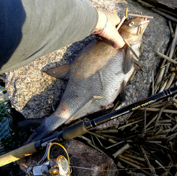 Майские праздники на подходе!