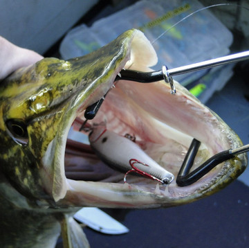 Поступление топовых японский воблеров. Майские скидки на катушки