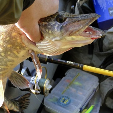 Лучшие блесны незацепляйки для ловли щуки