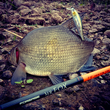 Новые поступления и новые АКЦИИ нашего магазина