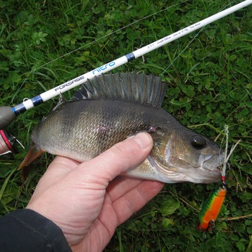 Новые группы товаров с отличной ценой